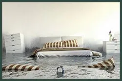 Hallandale Beach Restoration Expert Hallandale Beach, FL 954-390-2414 Hallandale Beach Restoration Expert Hallandale Beach, FL 954-390-2414