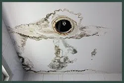 Hallandale Beach Restoration Expert Hallandale Beach, FL 954-390-2414 Hallandale Beach Restoration Expert Hallandale Beach, FL 954-390-2414