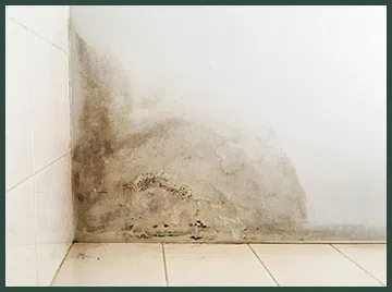 Hallandale Beach Restoration Expert Hallandale Beach, FL 954-390-2414 Hallandale Beach Restoration Expert Hallandale Beach, FL 954-390-2414 - city-wgr-6