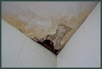 Hallandale Beach Restoration Expert Hallandale Beach, FL 954-390-2414 - country-wgr-6