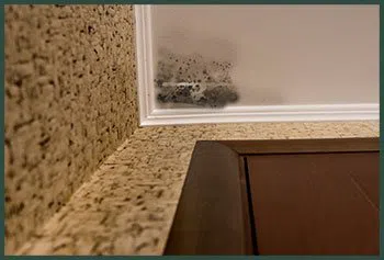 Hallandale Beach Restoration Expert Hallandale Beach, FL 954-390-2414 - ser-mold-cont-wgr